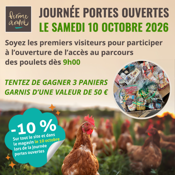 Poulets à vendre